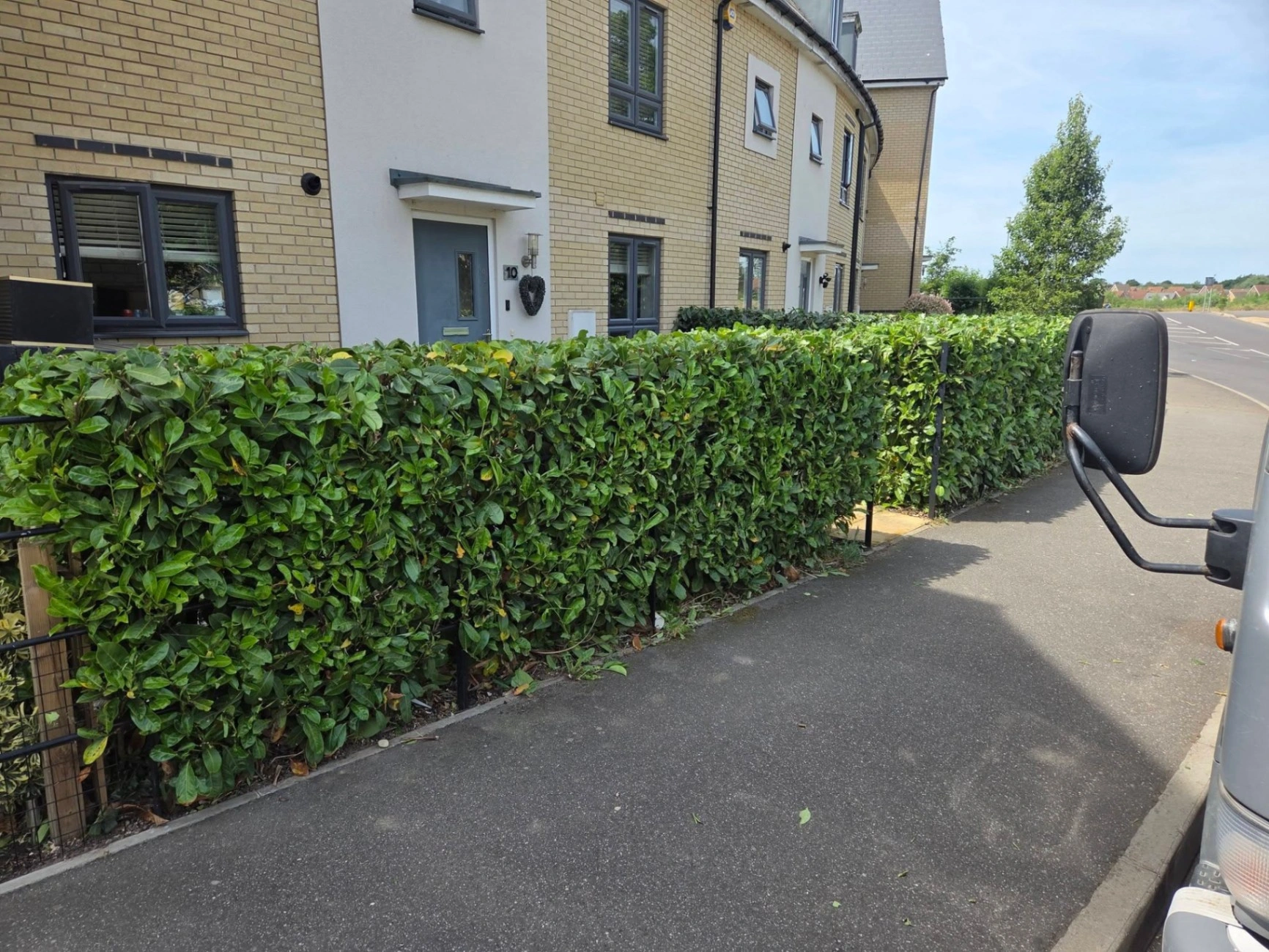 artificial grass laying Essex